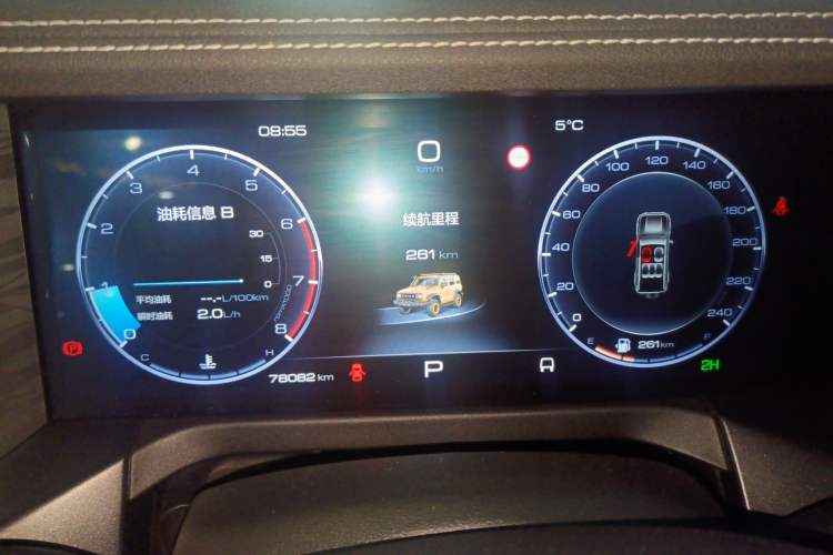 Used Tank 300 2022 2.0T Border Limited Edition