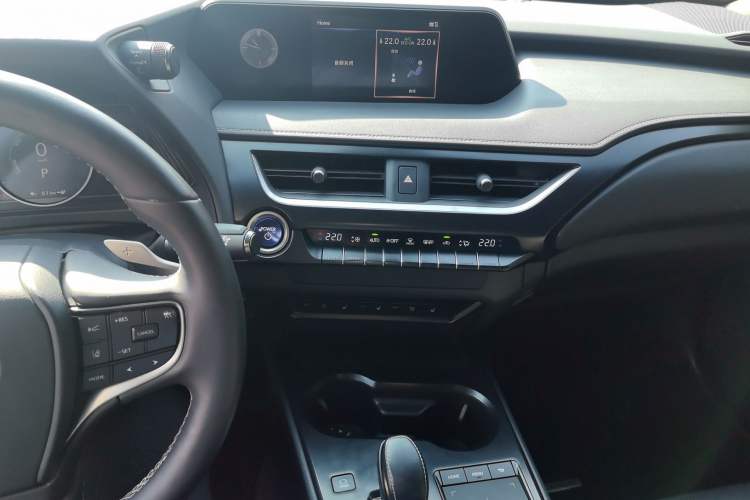 Used Lexus UX New Energy 2020 300e Pure·Joy Edition