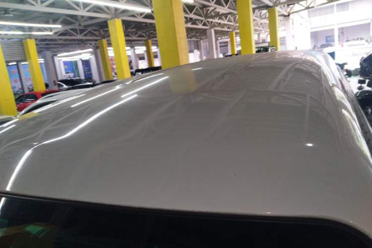 Used FORTHING Lingzhi M5 2020 Long-Range Luxury 7-Seater Model