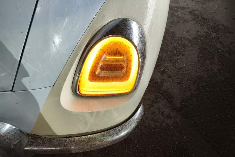 Used ORA Ballet Cat 2022 401 km Nutcracker Edition
