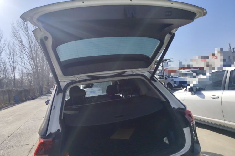 Used Volkswagen Tiguan L New Energy 2020 430 PHEV Plug-in Hybrid Flagship Edition
