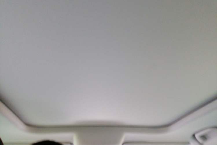 Used Haval DARGO 2022 1.5T DCT Two-Wheel Drive Labrador Edition Headliner