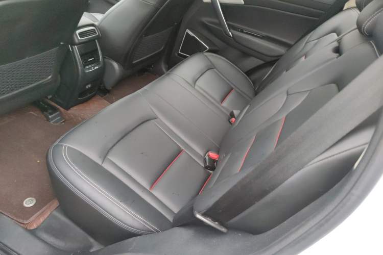 Used Geely Auto Emgrand X7 Sport 2020 1.8TD DCT Two-Wheel Drive Smart Connect 4G-Enabled Version Left Rear Seat