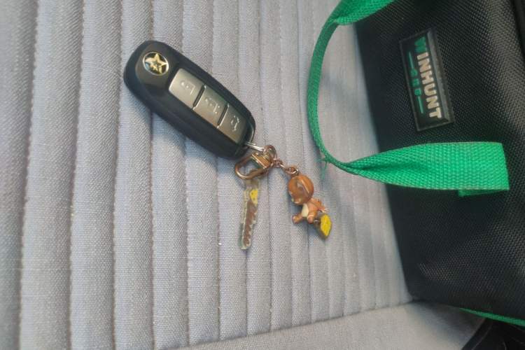 Used Venucia D60 2021 PLUS 1.6L XL CVT Yue Ling Edition