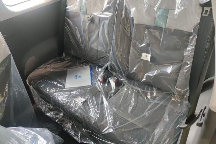 Used Qiyuan Lumin 2025 205 km Xiangqin Version
