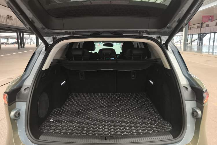 Used VOYAH FREE 2021 Four-Wheel Drive Standard Range-Extended Exclusive Luxury Package
