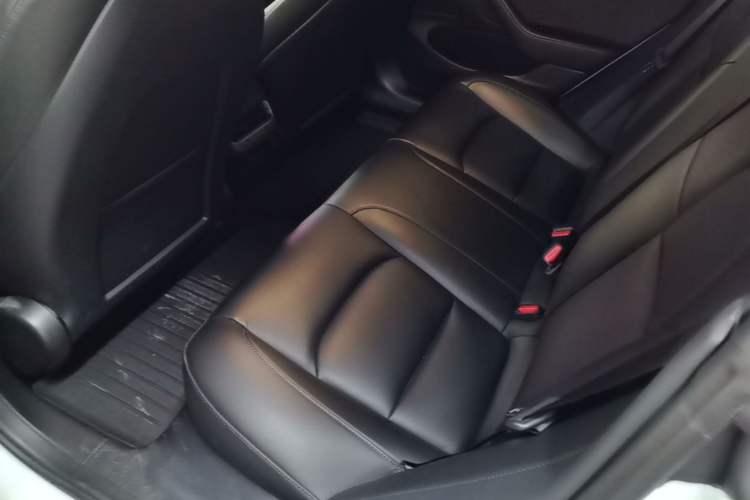 Used Tesla Model 3 2019 Standard Range Rear-Drive Upgraded Version Left Rear Seat