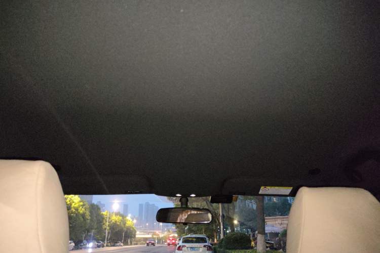 Used BYD Dolphin 2021 405 km Free Version Headliner