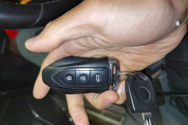 Used Leopaard CS10 2017 2.0T Automatic Luxury Model
