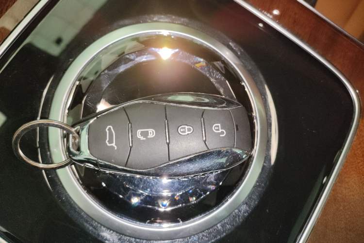 Used Hongqi HQ9 2023 2.0T Smart Connect Flagship Edition