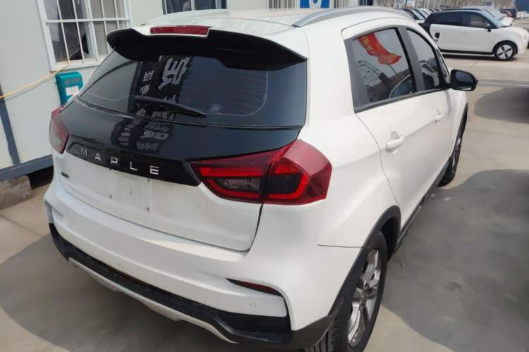 Used Livan Maple 30X 2020 Style Edition
