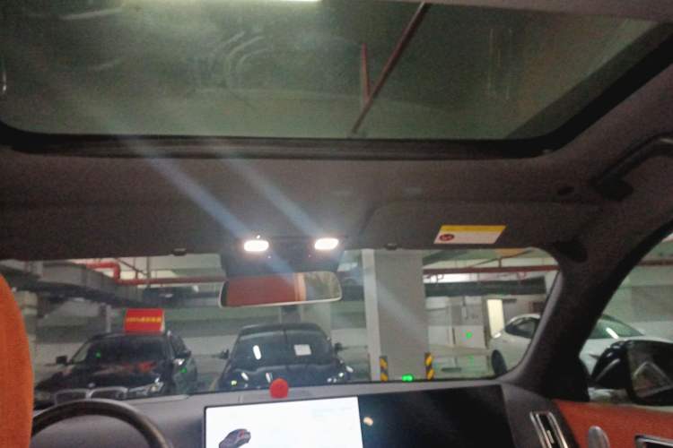 Used Li Auto L8 2023 Pro Model Headliner