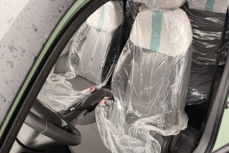 Used Qiyuan Lumin 2023 301km Honey Dew Edition
