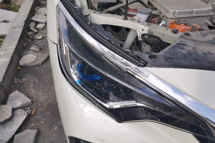 Used Venucia Venucia D60EV 2020 Standard Range Smart Drive Edition