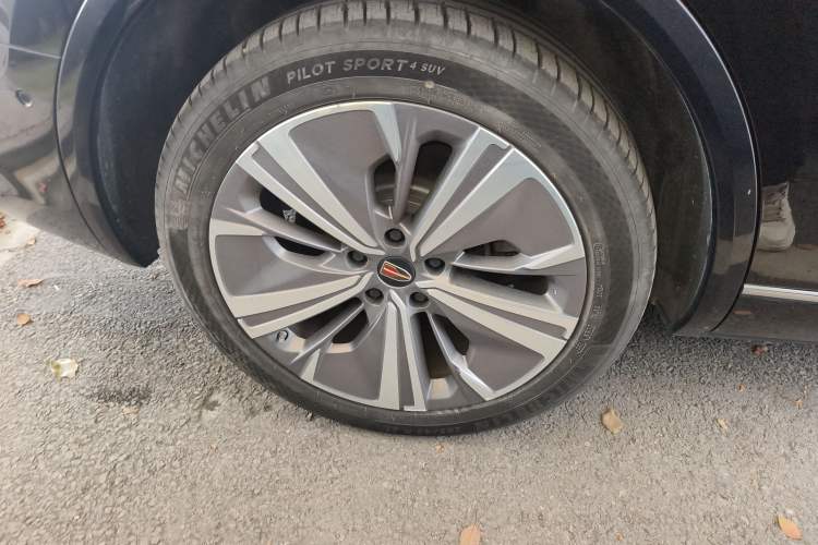 Used Hongqi E-HS9 2021 460 km Range Flagship Edition Six-Seater
