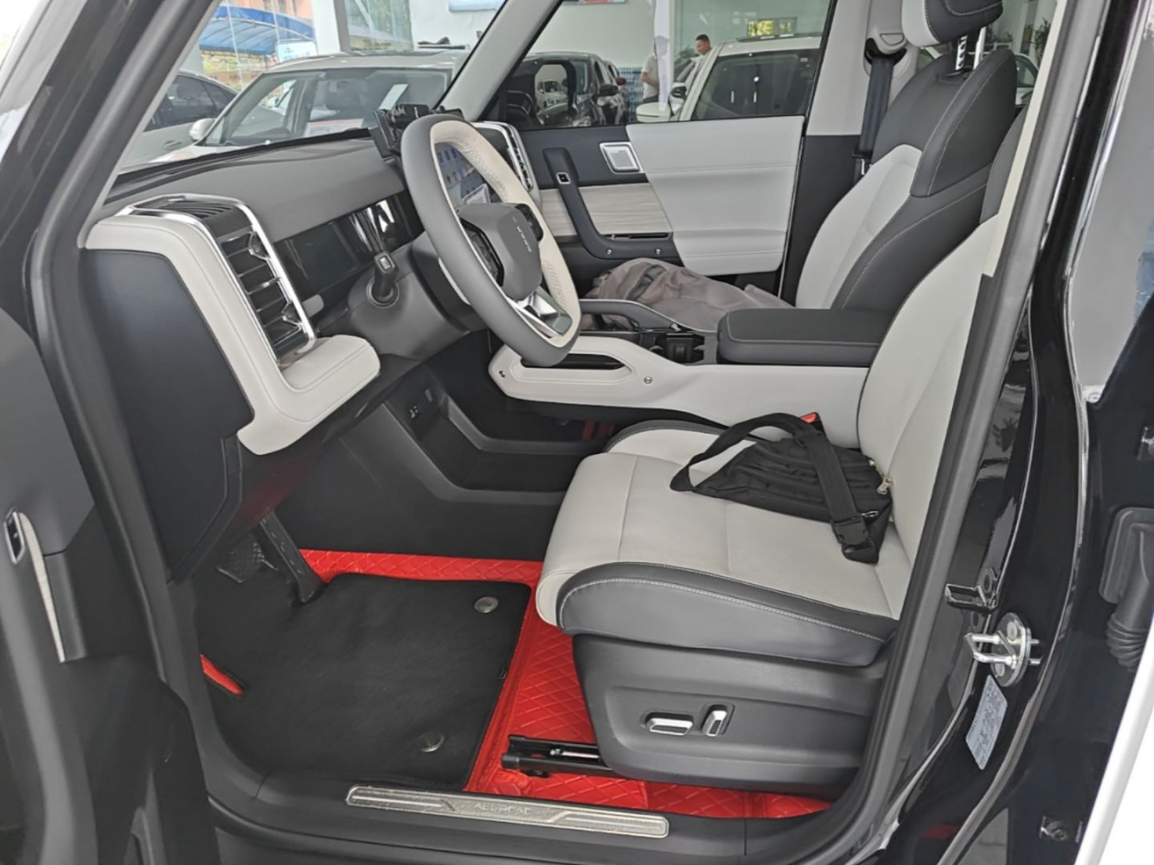 Interior delantero