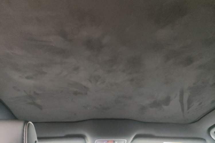 Used BYD Seal 2022 700 km Long-Range Rear-Wheel-Drive Version Headliner