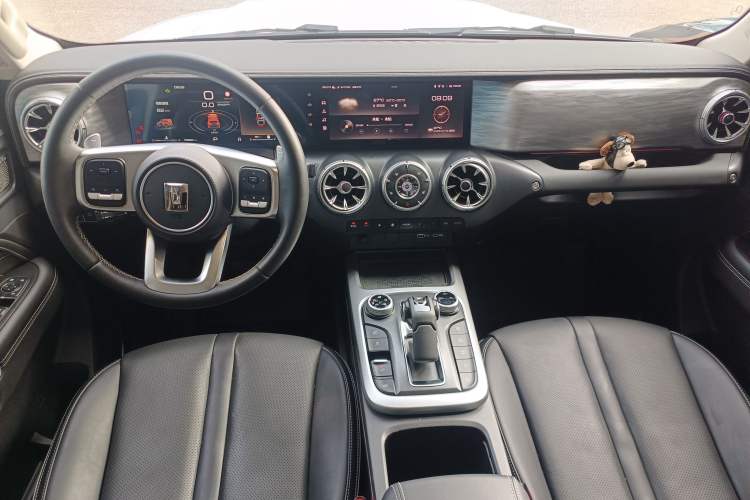 Used Tank 300 2024 2.0T Conqueror