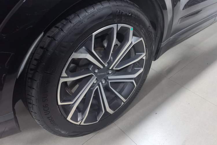 Used Lynk & Co 09 EM-P 2023 2.0TD EM-P Four-Wheel Drive Asian Games Executive Edition Five Seats
