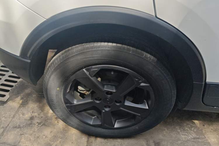 Used Geometry E Firefly 2022 401 km Linglong Tiger 4 Seats
