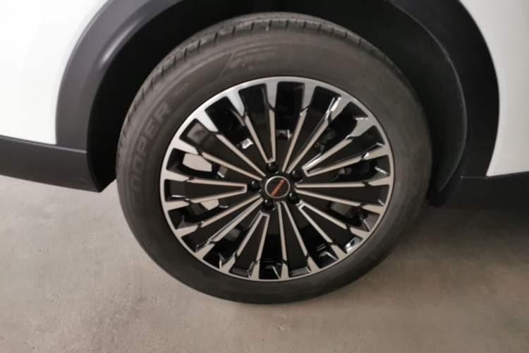 Used EXEED Stellar 2023 400T Two-Wheel Drive Comfort Flyfish Edition