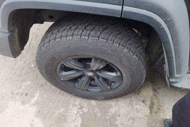 Used Tank 300 2024 2.0T Conqueror
