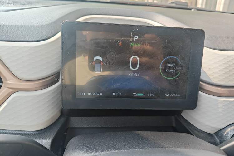 Used SOL E10X 2022 Flower Fairy Design Four-Leaf Clover