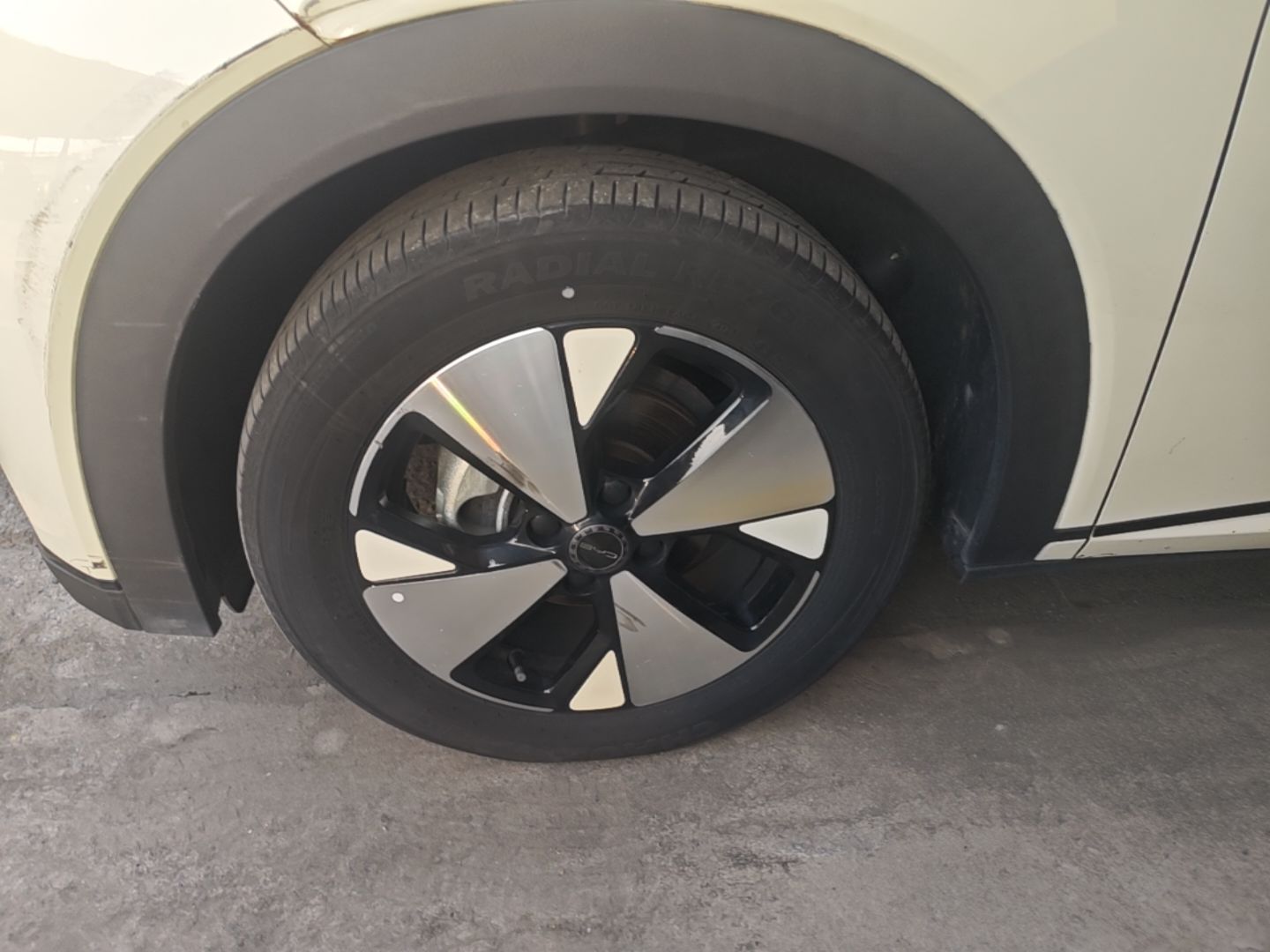 BYD Dolphin 2023 420 km Fashion Edition — снимка 10