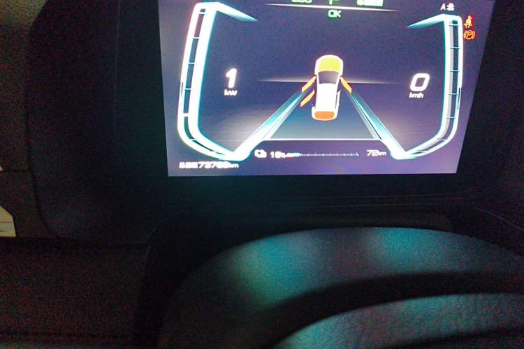 Used BYD e2 2019 Long-Range Version Yao·Luxury Trim Odometer Close Up