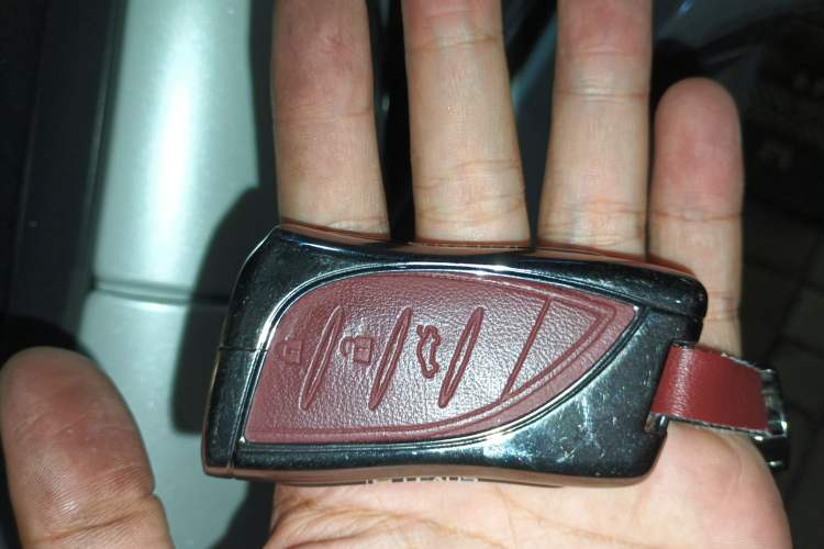 Used Lexus NX New Energy 2022 400h+ Comfort Edition
