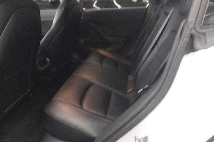 Used Tesla Model 3 2019 Standard Range Rear-Drive Upgraded Version Left Rear Seat
