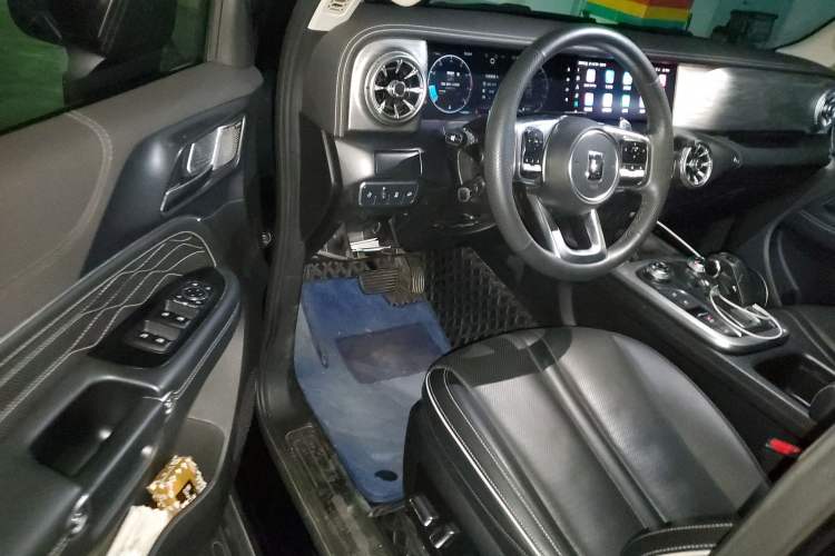 Used Tank 300 2021 Off-Road Edition 2.0T Conqueror Driver Seat