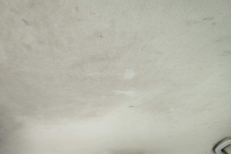 Used CHANGAN OSHAN A800 2019 1.6L Manual Comfort Model China V Standard
