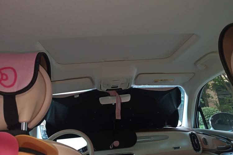 Used ORA Ballet Cat 2023 401 km Luxury Version