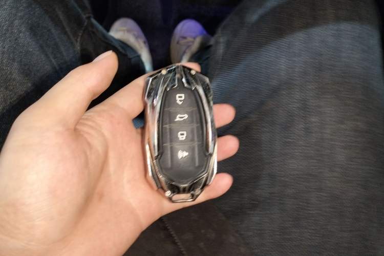 Used Tank 400 New Energy 2023 Hi4-T Super Edition
