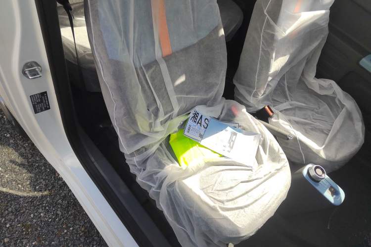 Used Geely Galaxy Panda 2024 Panda Mini 200km Endurance Bear
