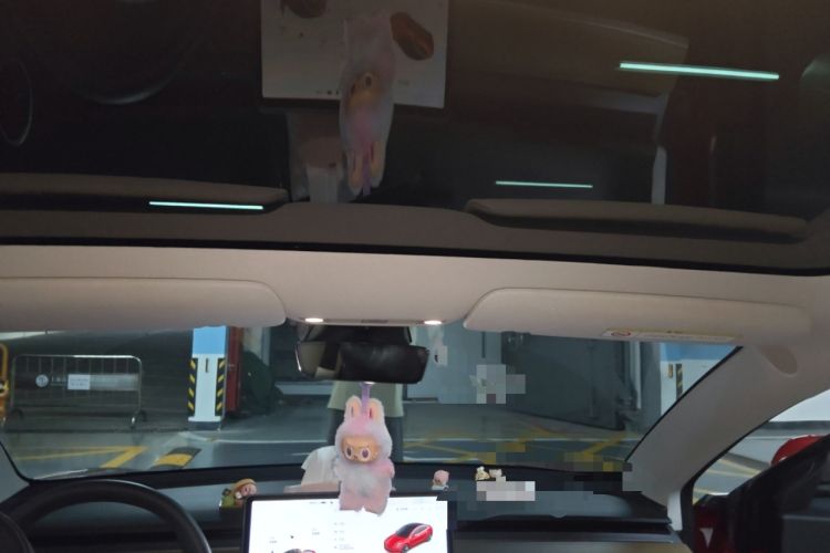 Used Tesla Model 3 2020 Revised Version Standard Range Rear-Wheel Drive – Upgraded Edition