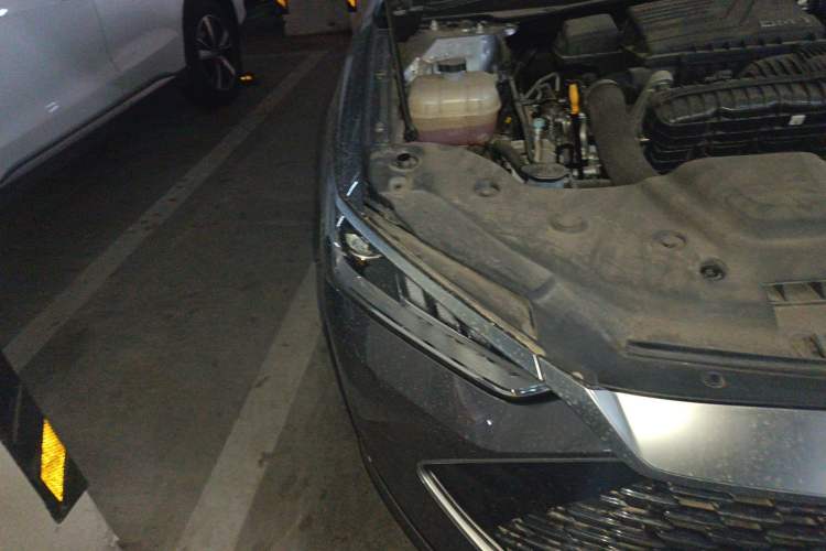 Used BYD Qin PLUS 2024 HONOR Edition DM-i 55KM Leading Model
