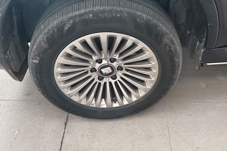 Used Tank 500 New Energy 2024 Hi4-T Exterior 5