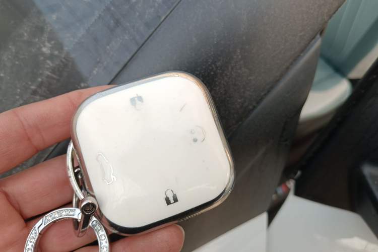 Used Qiyuan Lumin 2023 205km Xiangqin Version