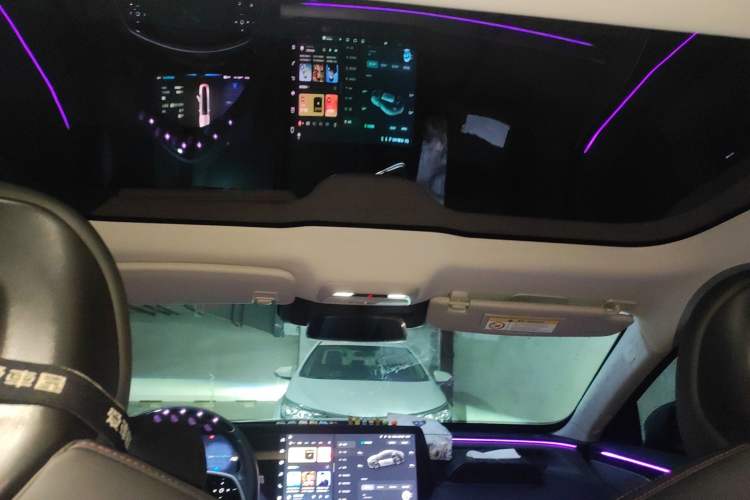 Used XPeng P7 2022 480E Headliner