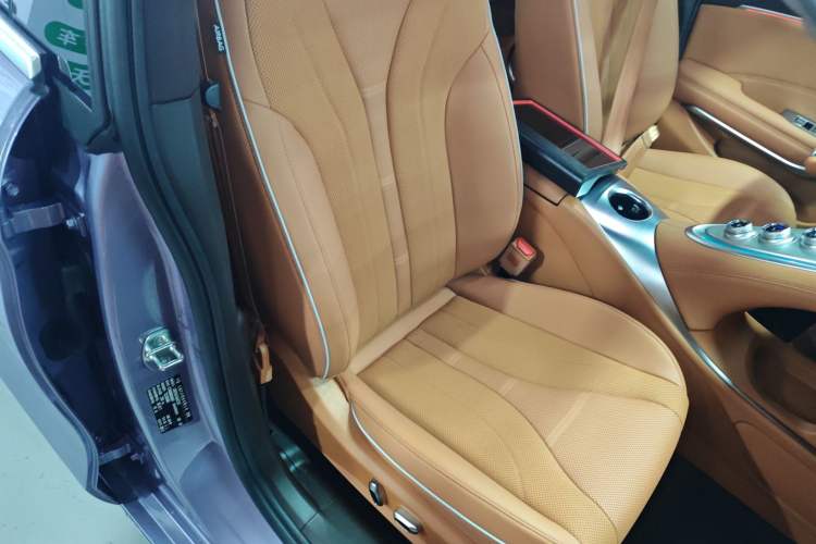 Used ORA Lightning Cat 2022 555 km Luxury Edition Right Front Seat