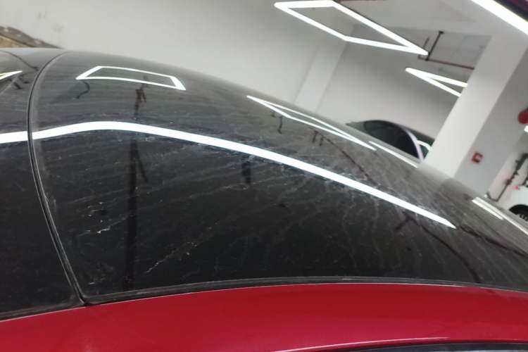 Used Tesla Model S 2020 Long-Range Upgrade Version