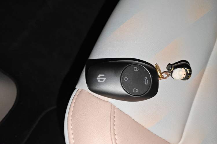 Used Leapmotor T03 2023 403 Smart Edition Vehicle Key