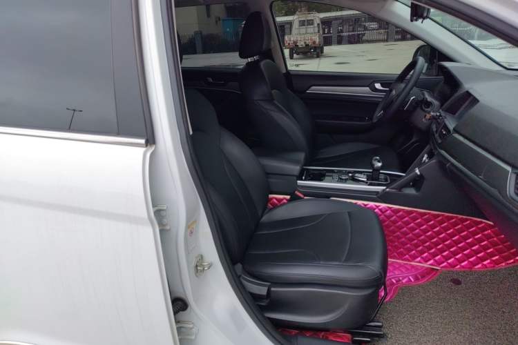 Used Haval H6 2018 Blue Label Sport Edition 1.5T Automatic Two-Wheel Drive Elite Model Right Front Seat