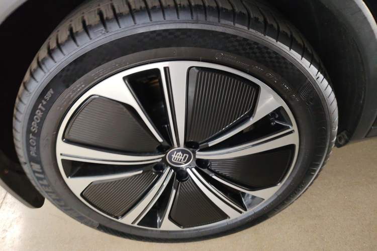 Used BYD Tang New Energy 2022 DM-p 215KM Four-Wheel Drive Flagship Model Exterior 5