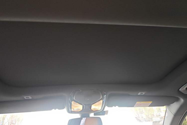 Used BMW 5 Series 2020 530Li Luxury Edition M Sport Package Headliner