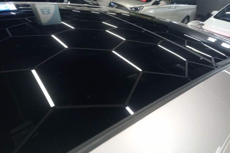 Used Hongqi H9 2020 3.0T Smart Connect Flagship Four-Seat Version Roof