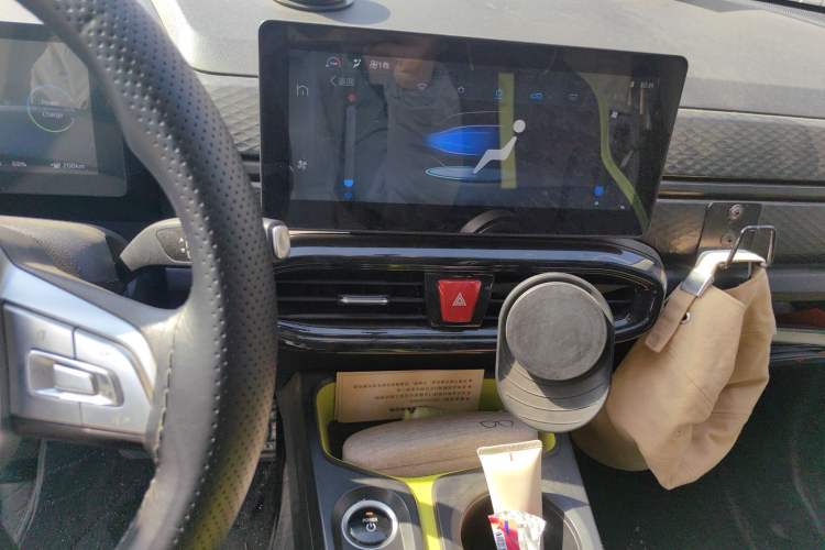 Used SOL E10X 2022 Flower Fairy Design Four-Leaf Clover Audio And AC Panel