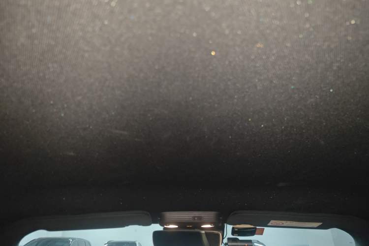 Used Ford Mustang 2019 2.3L EcoBoost